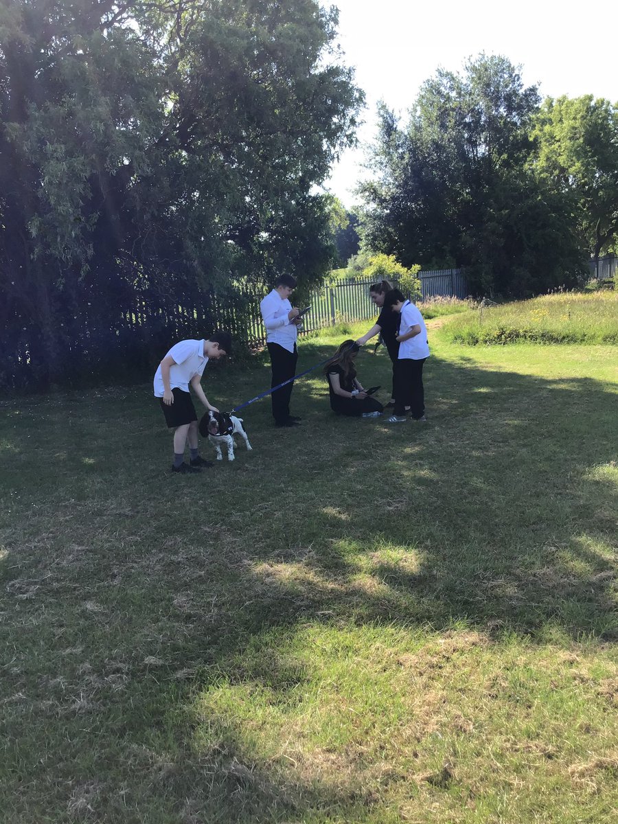 NorthcottSchool's tweet photo. 8B have been filming a documentary all about Northcott in their media lessons this week. They have interviewed staff, each other and involved Ozzy. https://t.co/JzmI7QL69p