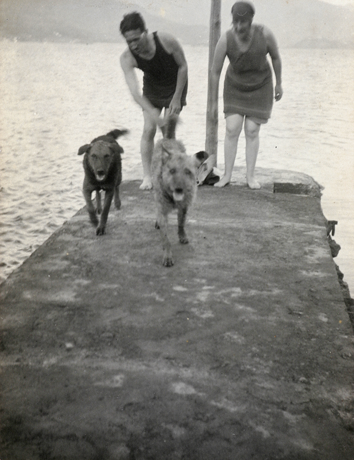 vischina's tweet photo. Couple with dogs on pier, 1930s. (Iโm not sure where this photo was taken, possibly Fujian or Hong Kong)
Banister Family Collection
Peter Lockhart Smith
Ba07-021
https://t.co/zGPfqJrhEH
#fujian #hongkong #chinesehistory #pets #dogs #dogsinhistory #oldpets #pier #swimming https://t.co/LAOfXNxhlm