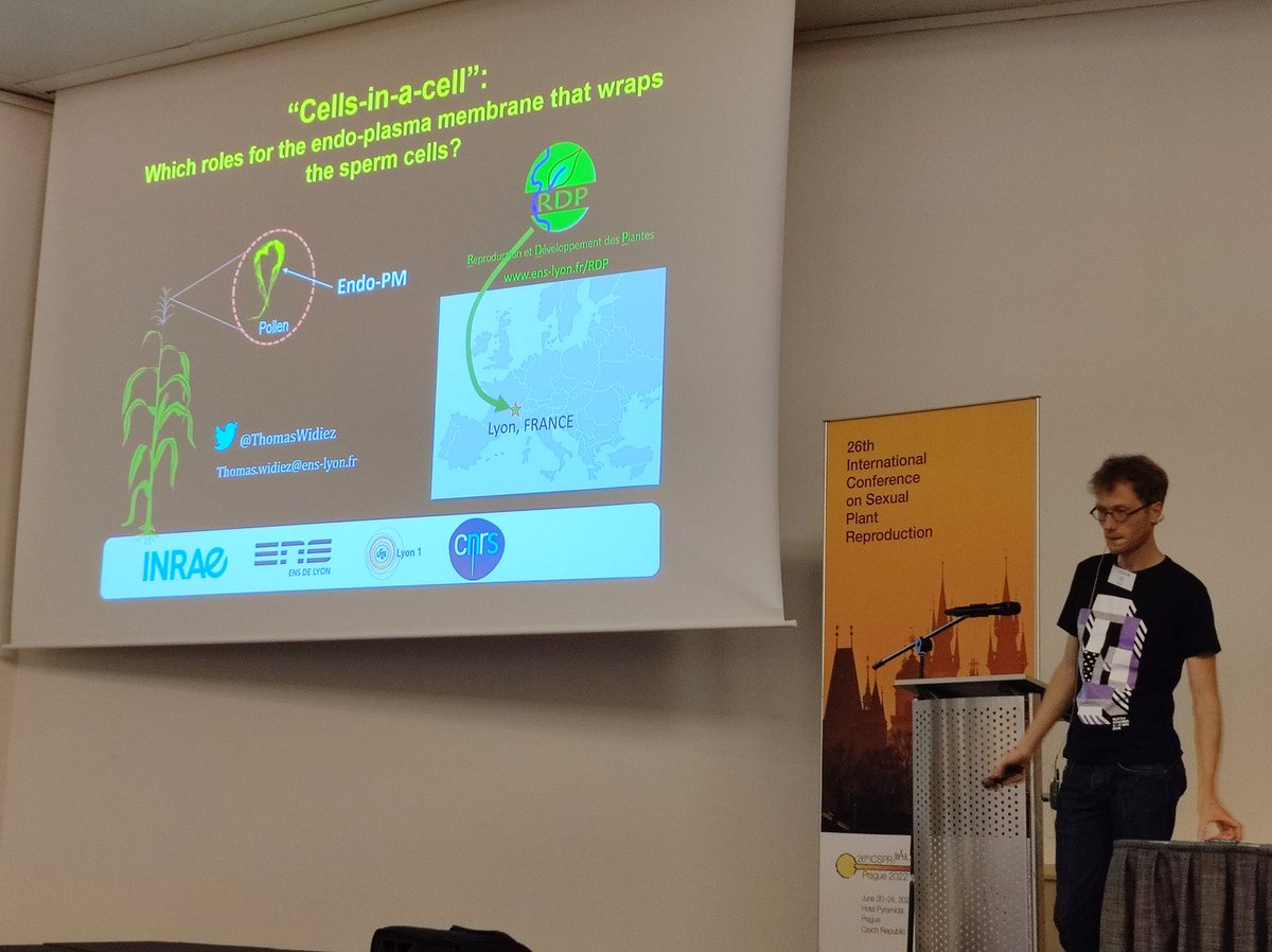 iasprr's tweet photo. The 4th speaker of the session is @ThomasWidiez from @RDPlab talking about the work of his team entitled"Cells-in-a-cell: Which roles for the endoplasma membrane that wraps the #SpermCells? #ICSPR2022🌱. https://t.co/UvkA00tzLy