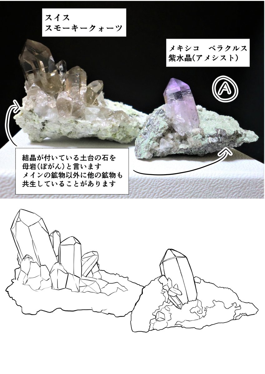 透明な鉱物って写真を見ただけだと分かりづらいですよね。自分の持っている標本を線画にしてみました。 