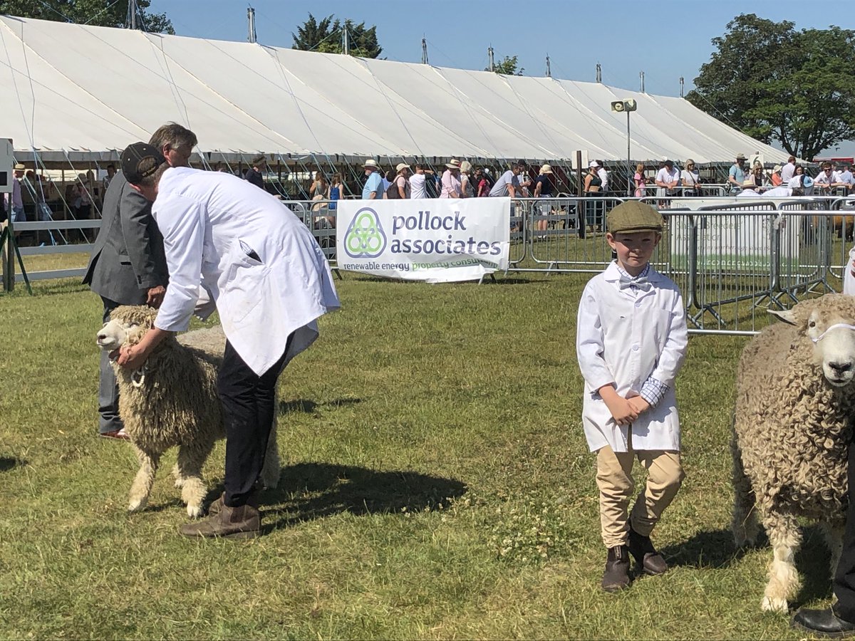 PollockOffice's tweet photo. Back @lincolshireshow supporting the fantastic Lincoln longwools https://t.co/PrvpvmkEgF