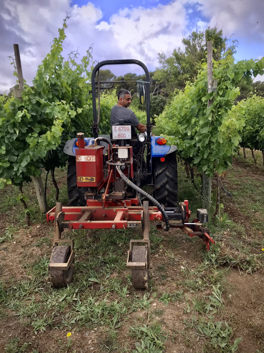 guauwine's tweet photo. Trabajando con el intercepas para el deshierbe mecánico de nuestras viñas… ❤️🍇 
#canxanet #mallorca #videlaterrademallorca #viticulturadeprecision #winelovers #winesofinstagram https://t.co/801XihDX1w
