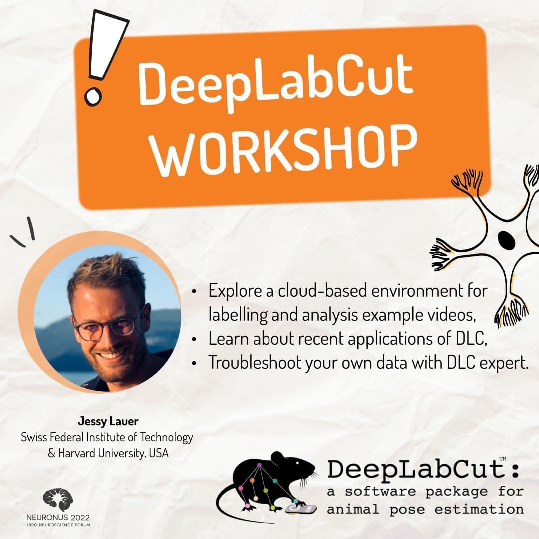 neuronusforum's tweet image. Exciting news! 🥳 🐀

During Neuronus you will get the opportunity to participate in the @DeepLabCut workshop led by one of the developers - @jessy_lauer
