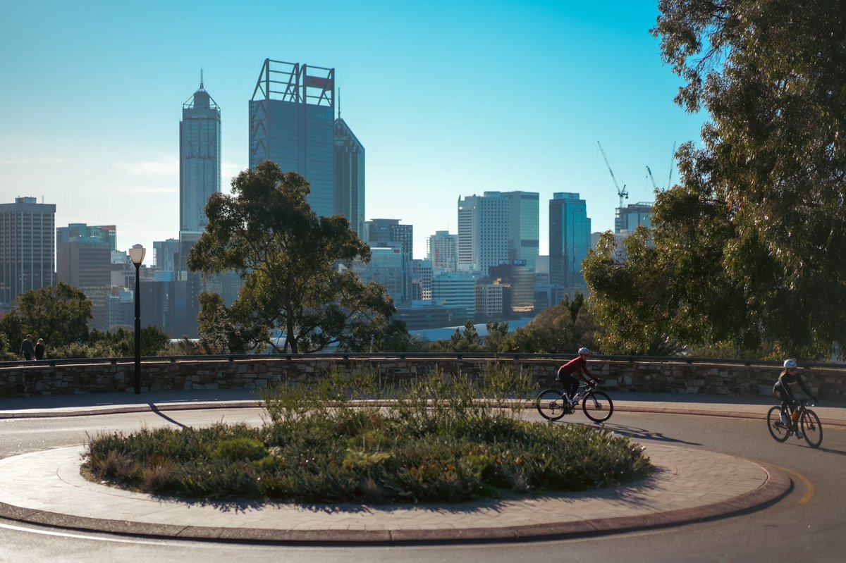 tompelmini tweet media