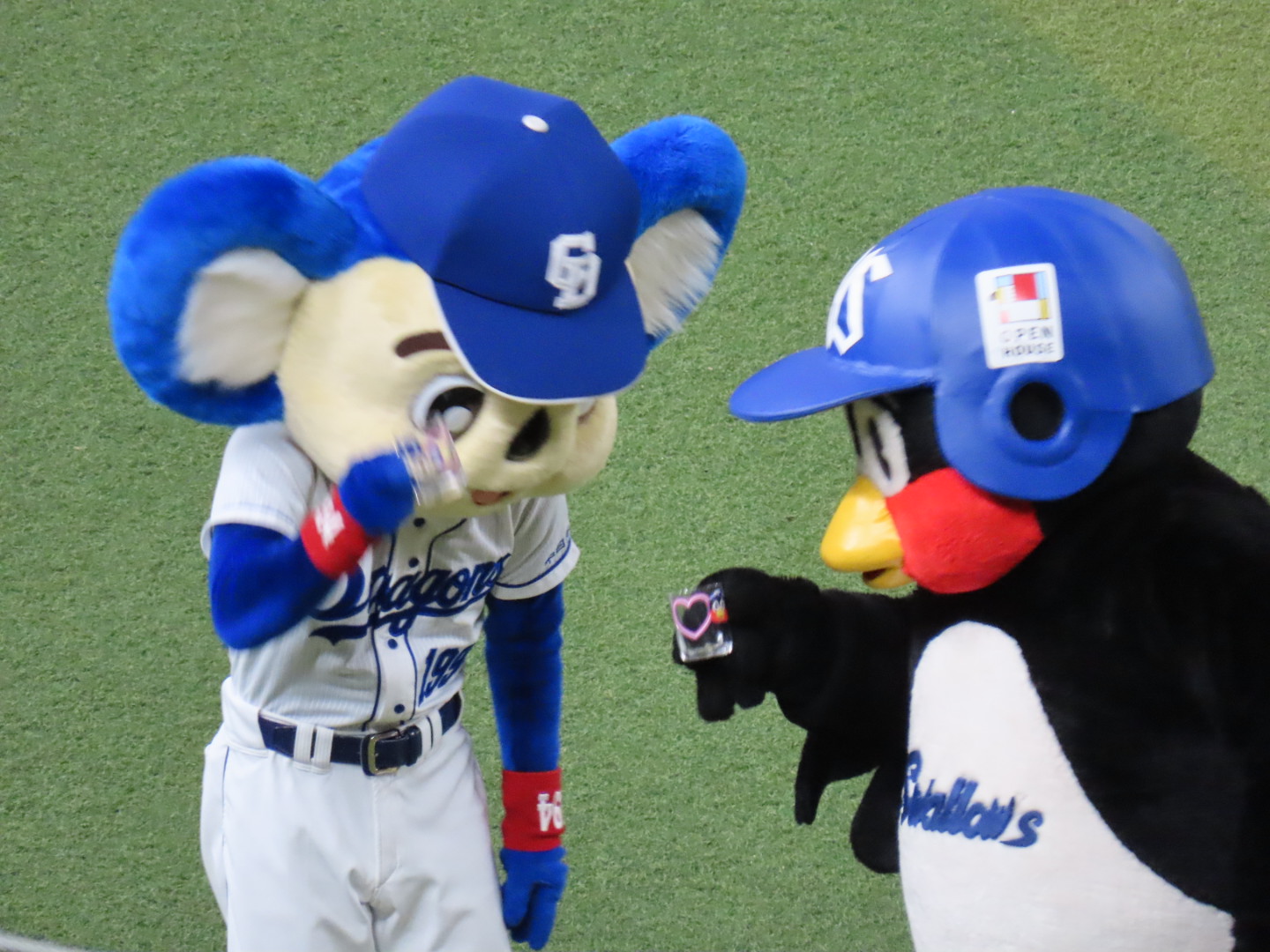ドアラ Twitter Search Twitter