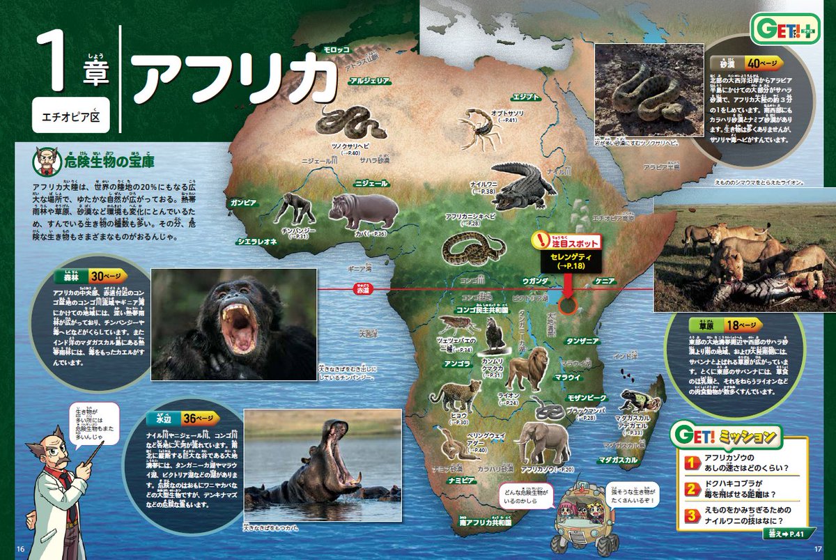 角川の集める図鑑GET!【公式】 on X: 角川の集める図鑑GET!【公式】 on X: