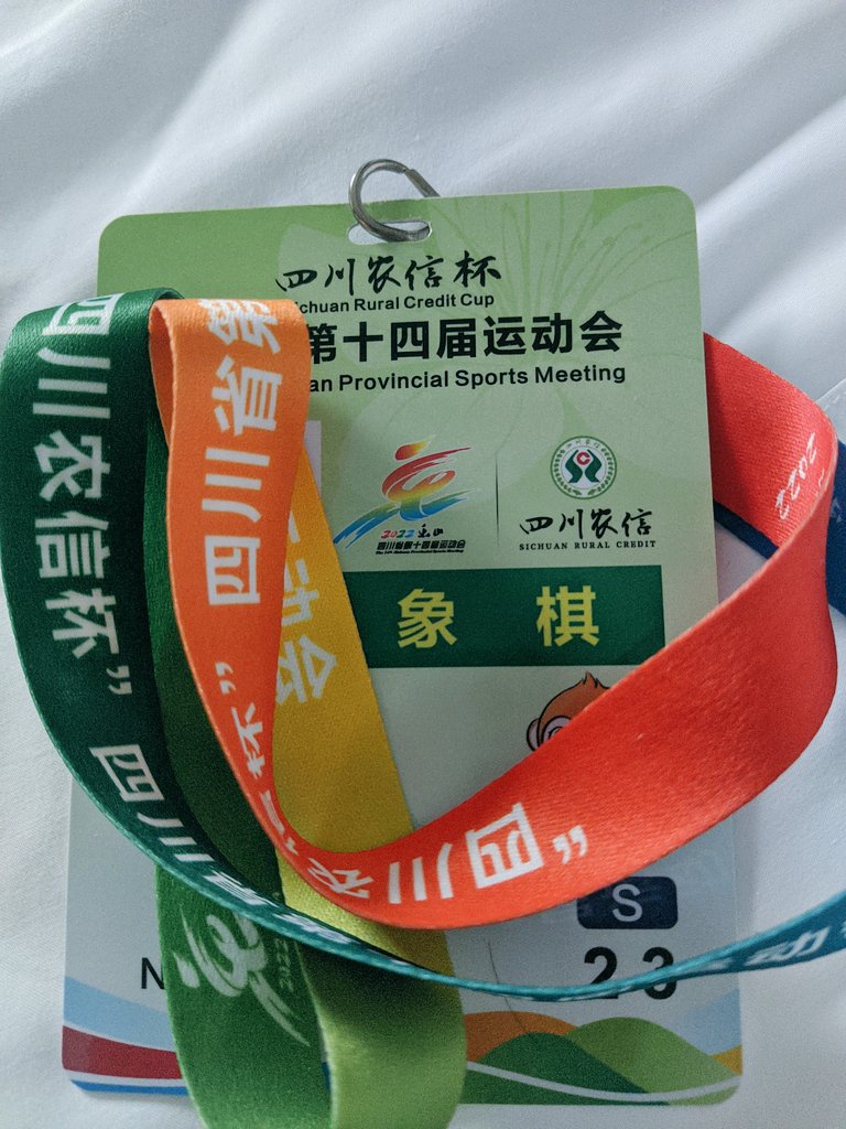 wohanni88's tweet photo. 结束了，作为一个小孩子第一次被虐这么惨 https://t.co/vpiDmPDD1A