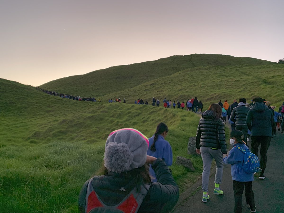 Stonefields School tweet media