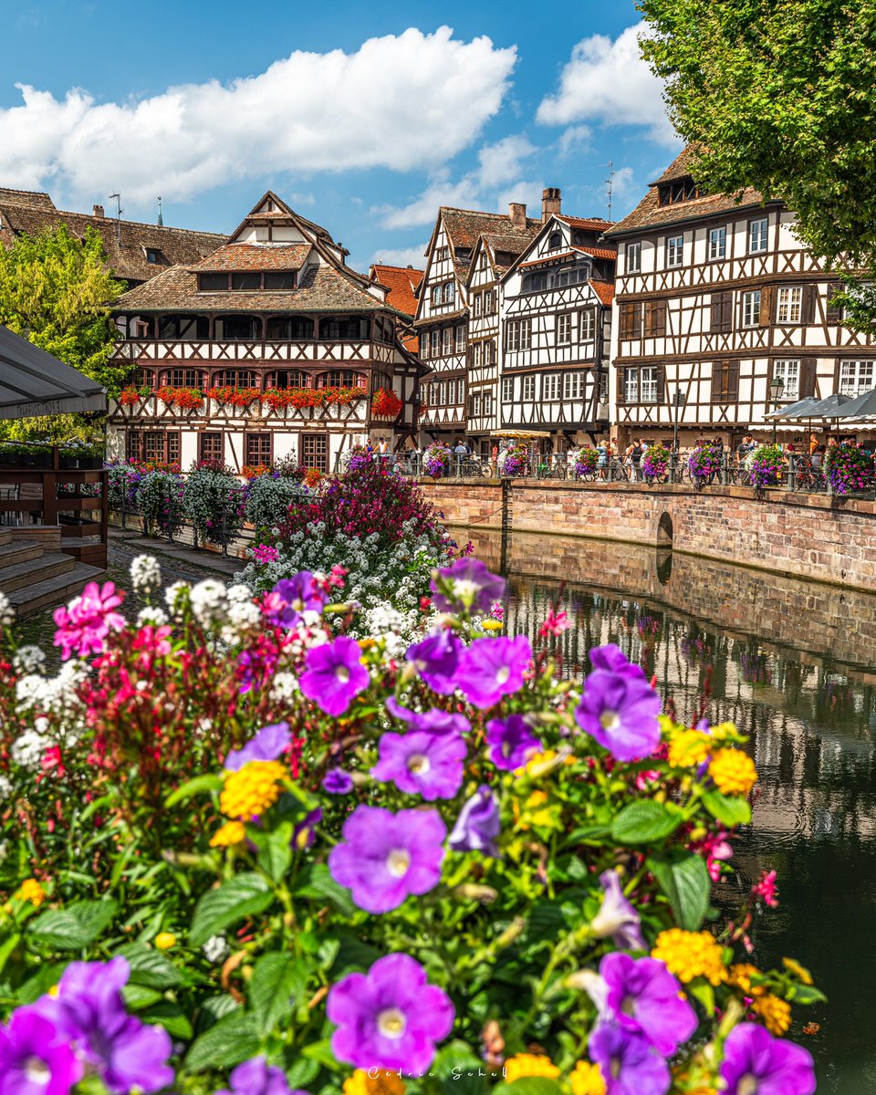 CedricSchell's tweet photo. L’été à Strasbourg. https://t.co/acuZChDvbe