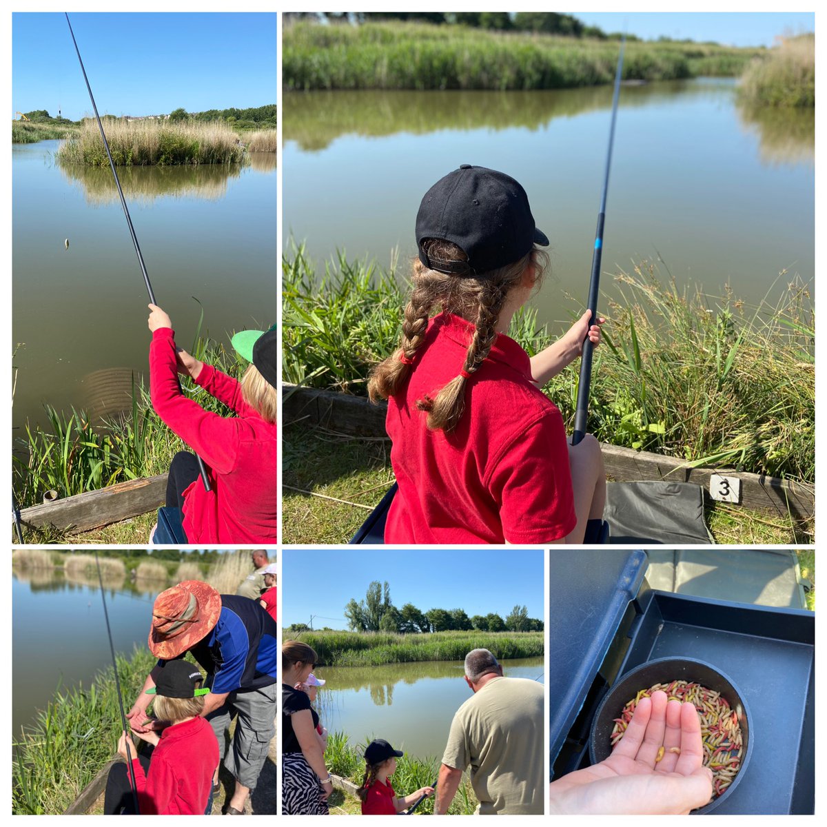 Llan_Prim_Sch's tweet photo. Peaceful in nature while learning to respect the creatures @CSCJES @anglersnet @AnglersworldHol #quietness https://t.co/43FkPcT2NZ