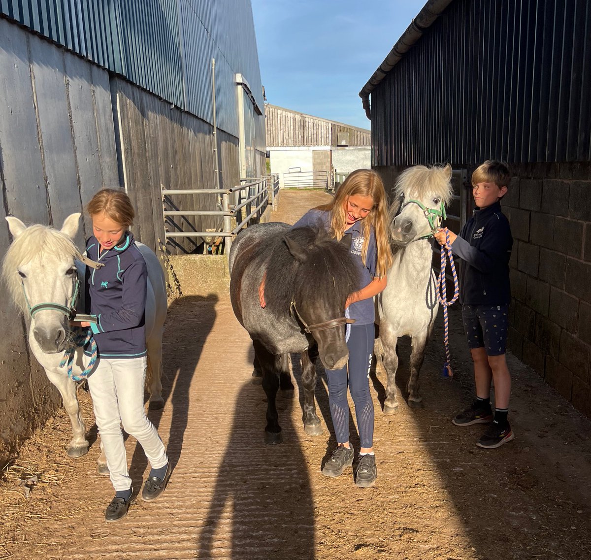 We had a lovely visit from some tiny guests this week! All set for the Shetland races at The Royal Cheshire Show #kelsallhillequestriancentre