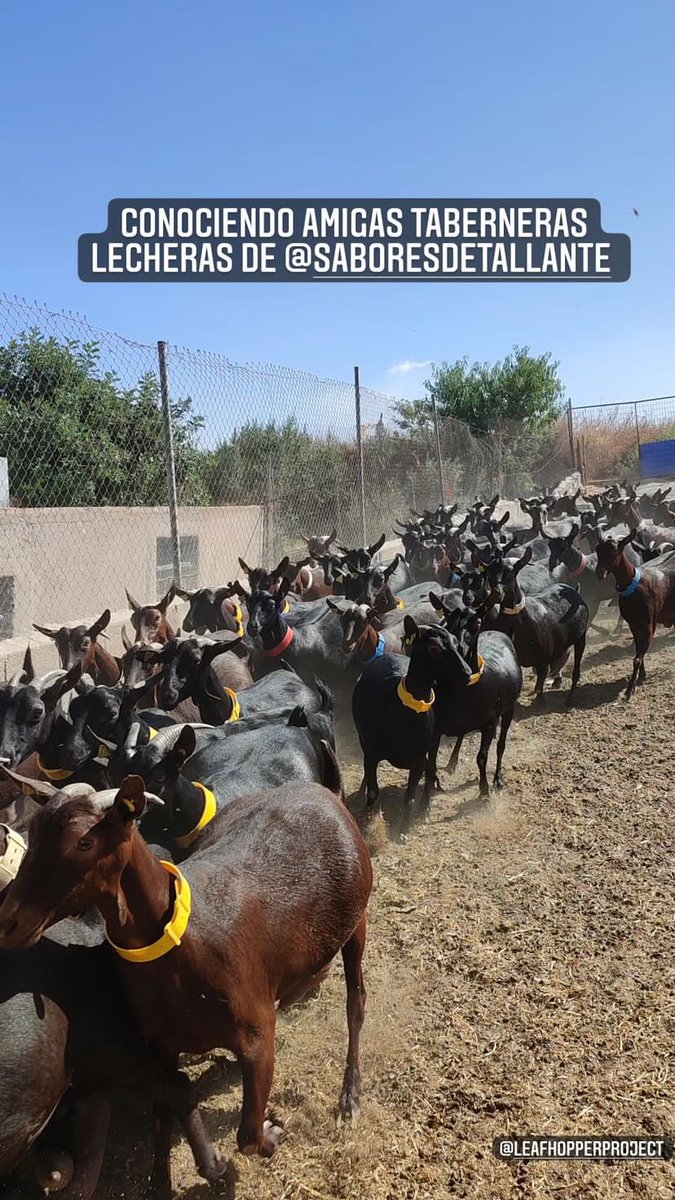 ¿Qué os parecen nuestras nuevas becarias? 😂