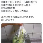 これは是非覚えておきたい!野菜・果物の裏技まとめ。