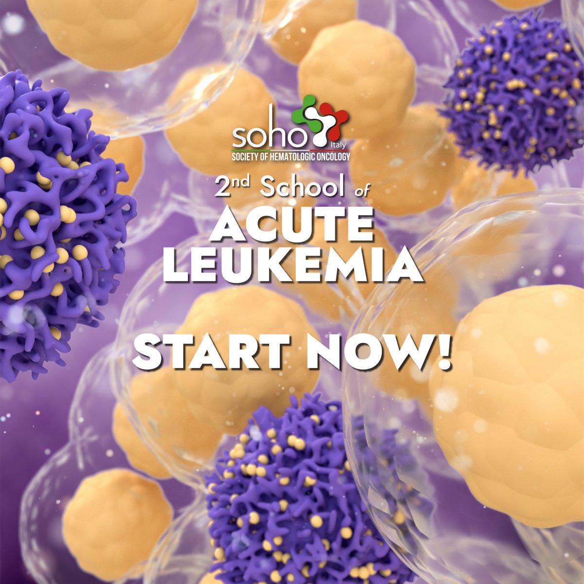 sohoitaly's tweet photo. The 2nd School of Acute Leukemia now begins!

Scientific Secretariat:
C. Cerchione, N. Daver, B. Giannini, E. Jabbour, H. Kantarjian, M. Konopleva, F. Locatelli, G. Marconi, G. Martinelli, G. Musuraca, M. Norata, G. Saglio

#acutemyeloidleukemia #acuteleukemia #Leukemia https://t.co/1NmHUXvf0n