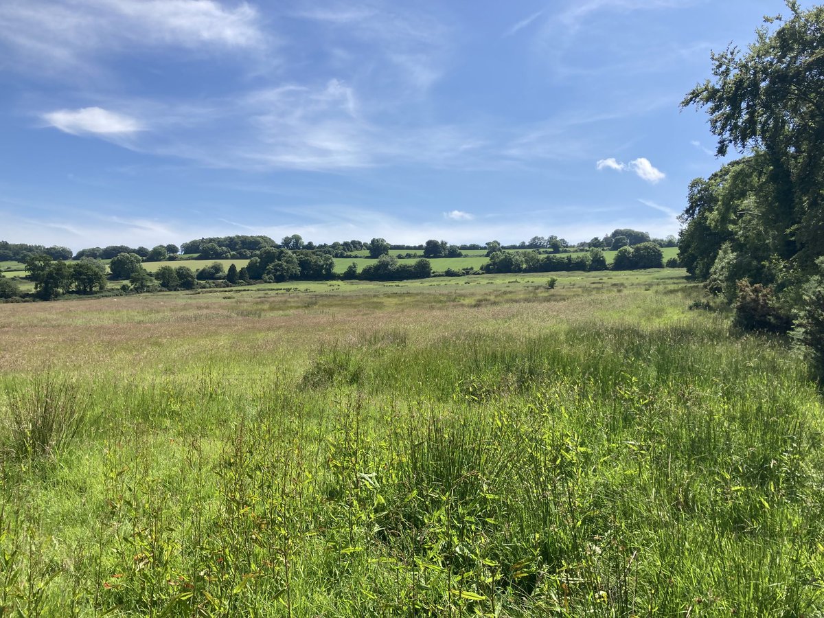 Mark Wilkinson tweet media