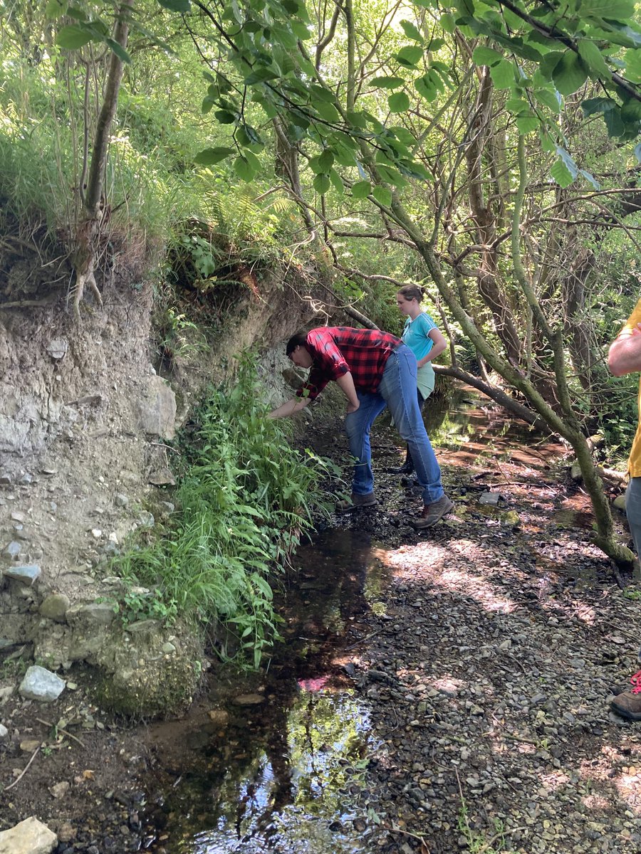 Mark Wilkinson (@hydro_mark) on Twitter photo Great day in <a href="/TeagascACP/">Teagasc Ag Catchments</a> Ballycanew catchment yesterday. One day soon this field may contain Natural Water Retention Measures and <a href="/SMARTER_BufferZ/">SMARTER_BufferZ</a> @NWRM_Ire. Plenty of places to slow the flow. Great day in <a href="/TeagascACP/">Teagasc Ag Catchments</a> Ballycanew catchment yesterday. One day soon this field may contain Natural Water Retention Measures and <a href="/SMARTER_BufferZ/">SMARTER_BufferZ</a> @NWRM_Ire. Plenty of places to slow the flow.
