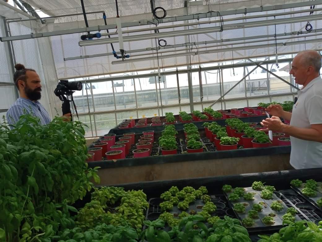 CCIAARIVLIG's tweet photo. La redazione di #flornewsLiguria al @cersaa_news prepara insieme a @giovanni_minuto servizi sul progetto SmartAroma 👍 #staytuned 
#smartaroma #psrliguria #cersaa #albenga #basilico #piantearomatiche 
#cciaarivlig https://t.co/zjLrvterGw