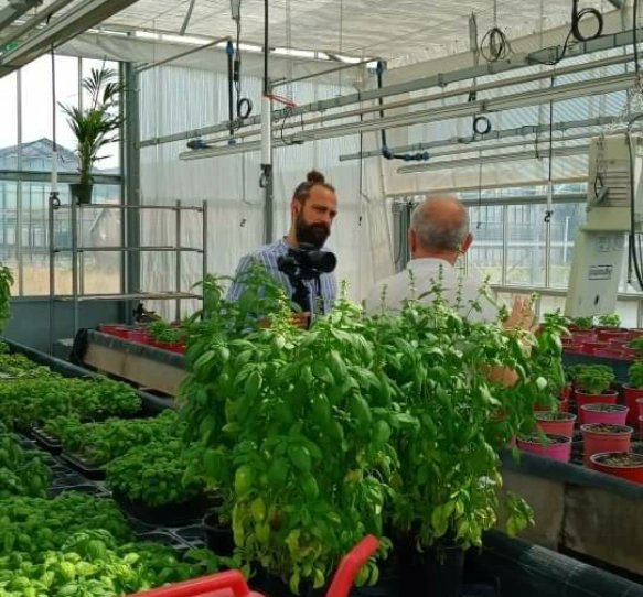 CCIAARIVLIG's tweet photo. La redazione di #flornewsLiguria al @cersaa_news prepara insieme a @giovanni_minuto servizi sul progetto SmartAroma 👍 #staytuned 
#smartaroma #psrliguria #cersaa #albenga #basilico #piantearomatiche 
#cciaarivlig https://t.co/zjLrvterGw