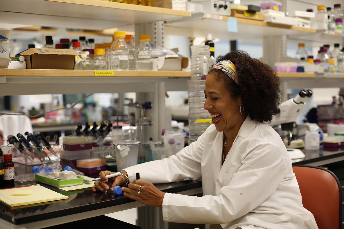 Postdoc positions available! Our interdisciplinary evo-eco-devo lab <a href="/HarvardOEB/">Harvard Organismic & Evolutionary Biology</a> <a href="/MCB_Harvard/">MCB_Harvard</a> <a href="/HHMINEWS/">HHMI</a> seeks new team members to work on projects ranging from biophysics to biochemistry to brains to bizarre bugs. Apply @ tinyurl.com/4xzvda5y &amp; read 🧵for more project info: 1/6