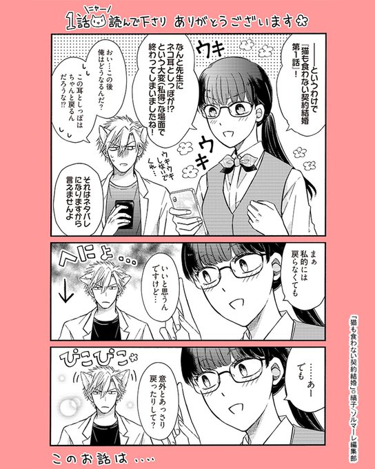 猫も食わない契約結婚 を含むマンガ一覧 ツイコミ 仮 猫も食わない契約結婚 を含むマンガ一覧 ツイコミ 仮