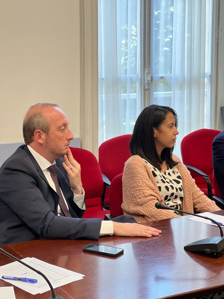 Agnès Firmin Le Bodo tweet media