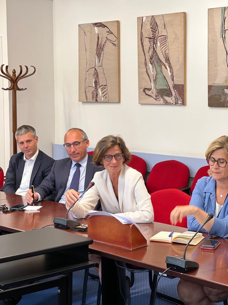 Agnès Firmin Le Bodo tweet media