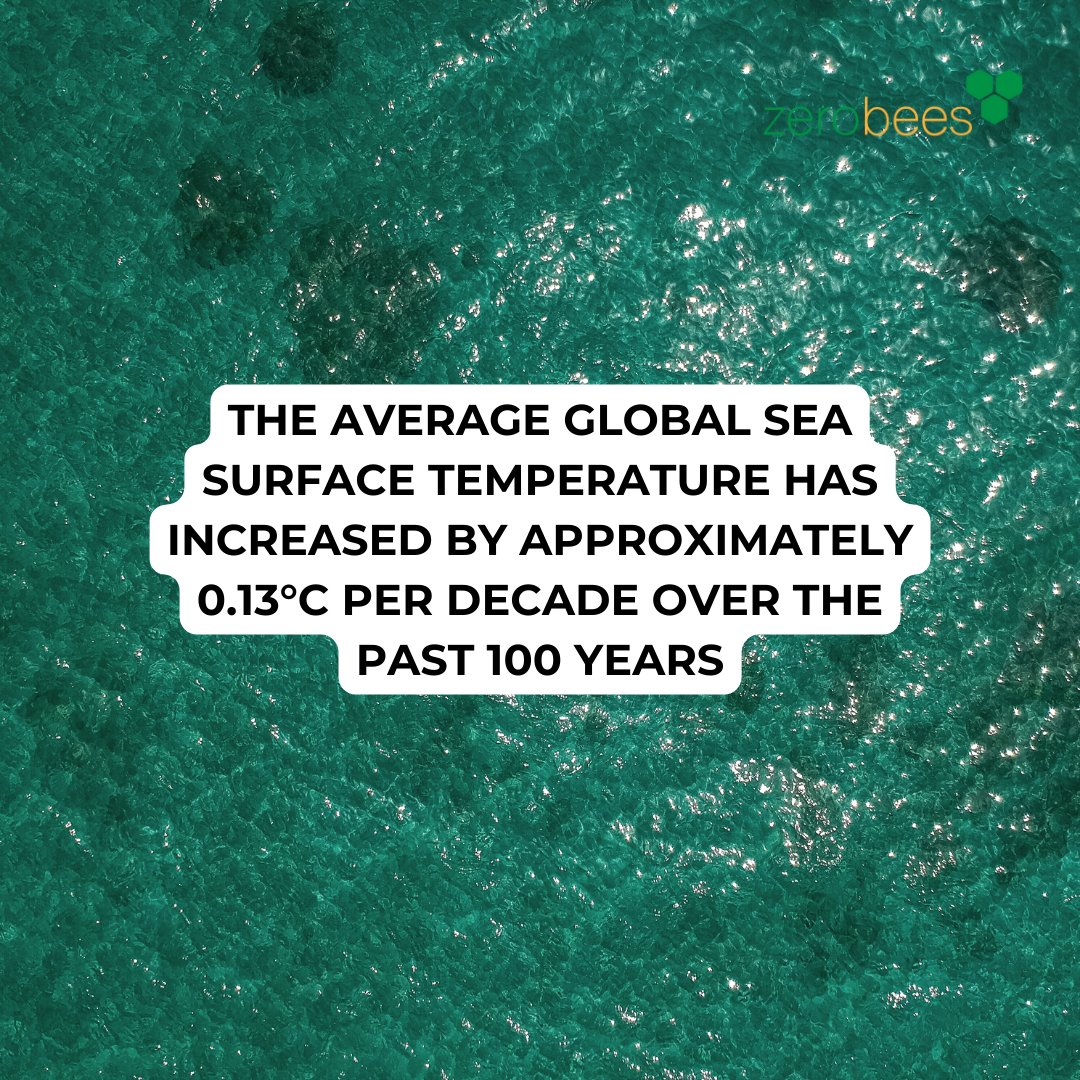 Zerobees2's tweet photo. Studies have indicated that the ocean has absorbed more than 93% of the excess heat from greenhouse gas emissions, resulting in rising ocean temperatures.

Don't hesitate to make a change and start now! Get in contact!

#zerobees #netzero #CO2 #globalwarming #ecofriendly #eco https://t.co/hVcmpEV9OK