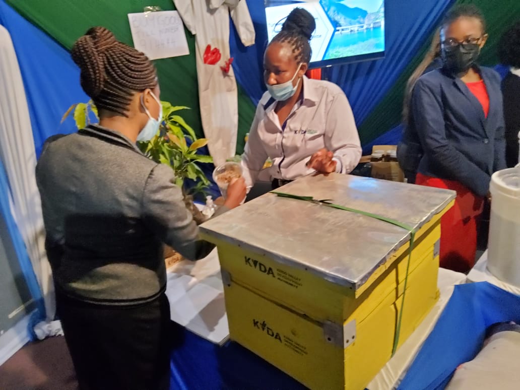 KVDA_ke's tweet photo. KVDA team at Africa Public Service Day National celebrations -KICC Nairobi, marketing KVDA as a brand. This is illustrated in the products  and services. #TenYearsAndBeyond #APSD2022 
@regional_dev @PSYGKenya @SpokespersonGoK @StateHouseKenya @EACAffairsKenya @CoastDev @LBDAgov https://t.co/o8DF2HOlo4