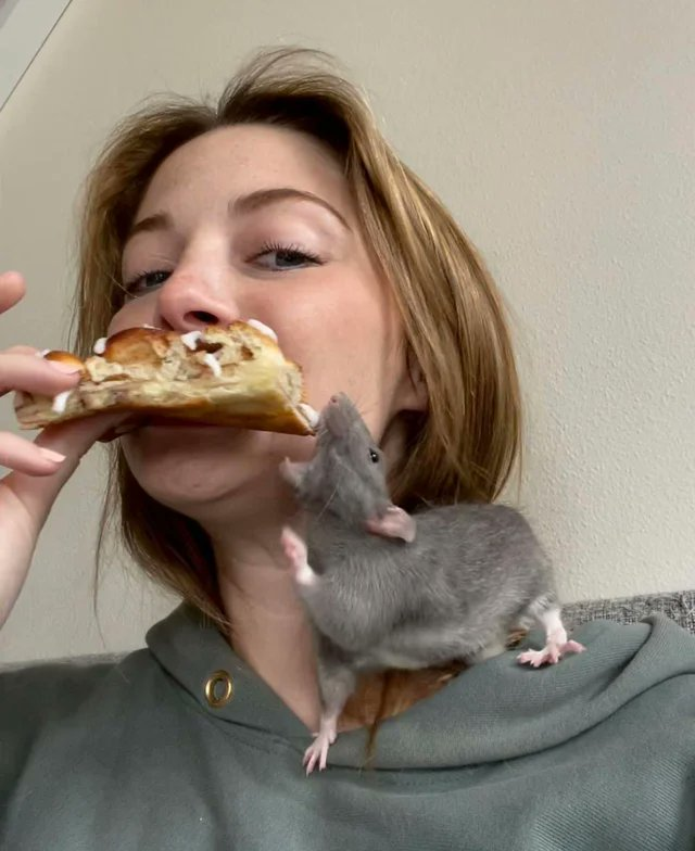 mischiefanimals's tweet photo. https://t.co/D3qGg6Ianx