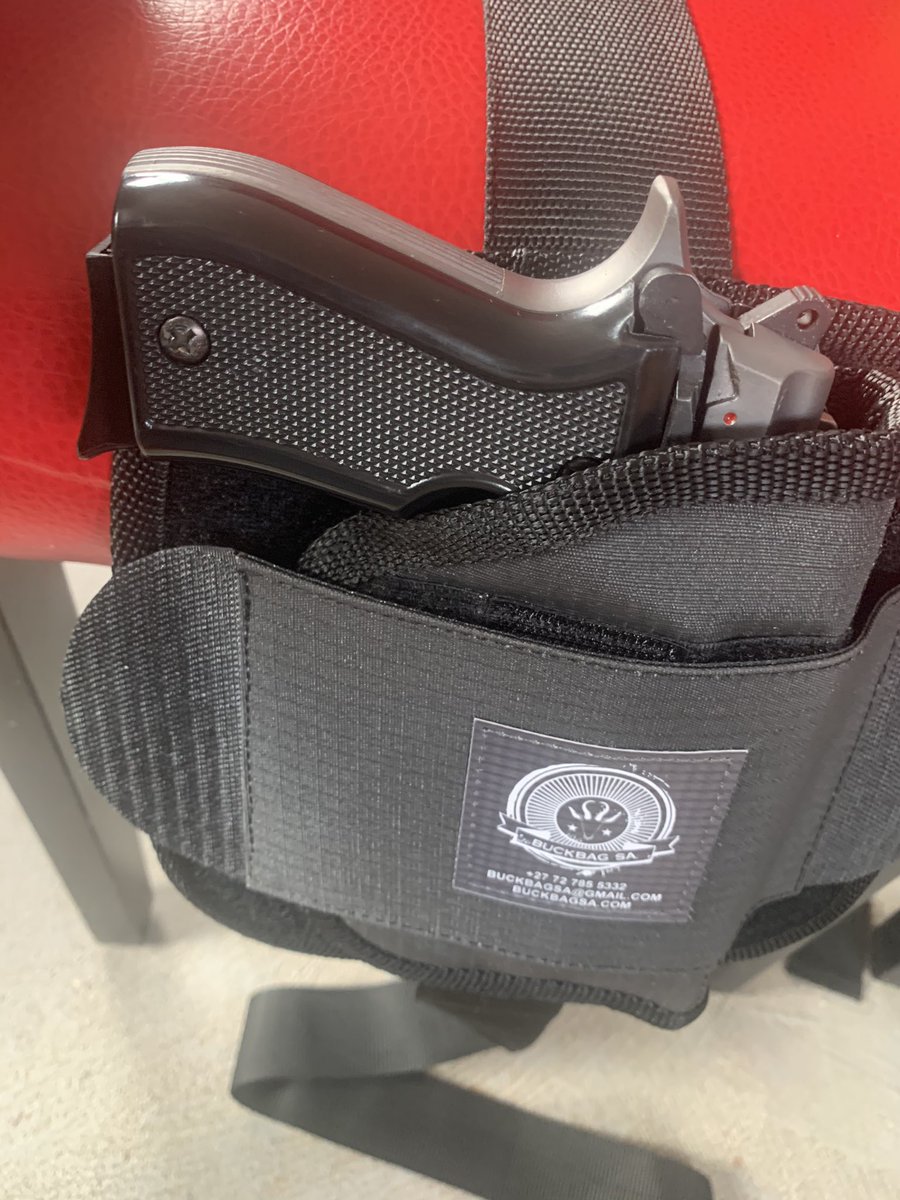 Car seat holster