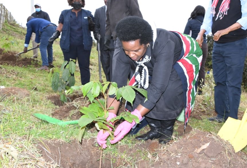 savegeprince's tweet photo. Prof. @CSMargaretKobia has called on Kenyans to plant more trees as a way of mitigating the effects of climate change. The trees we plant today will benefit future generations as they will stabilize the soil and protect the country’s biodiversity. #TenYearsAndBeyond https://t.co/cONjTBMaLb