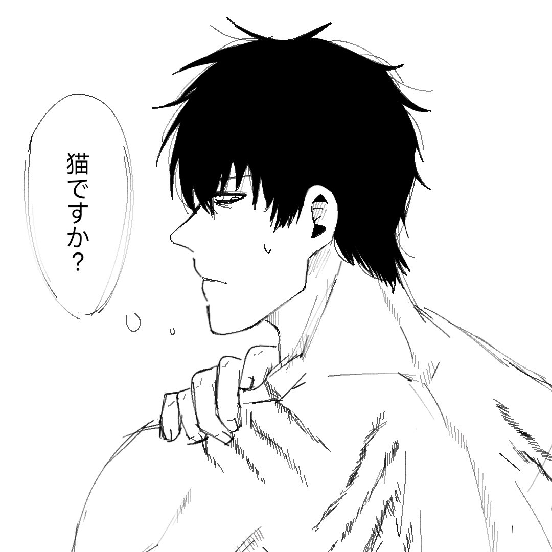 柏 tweet media