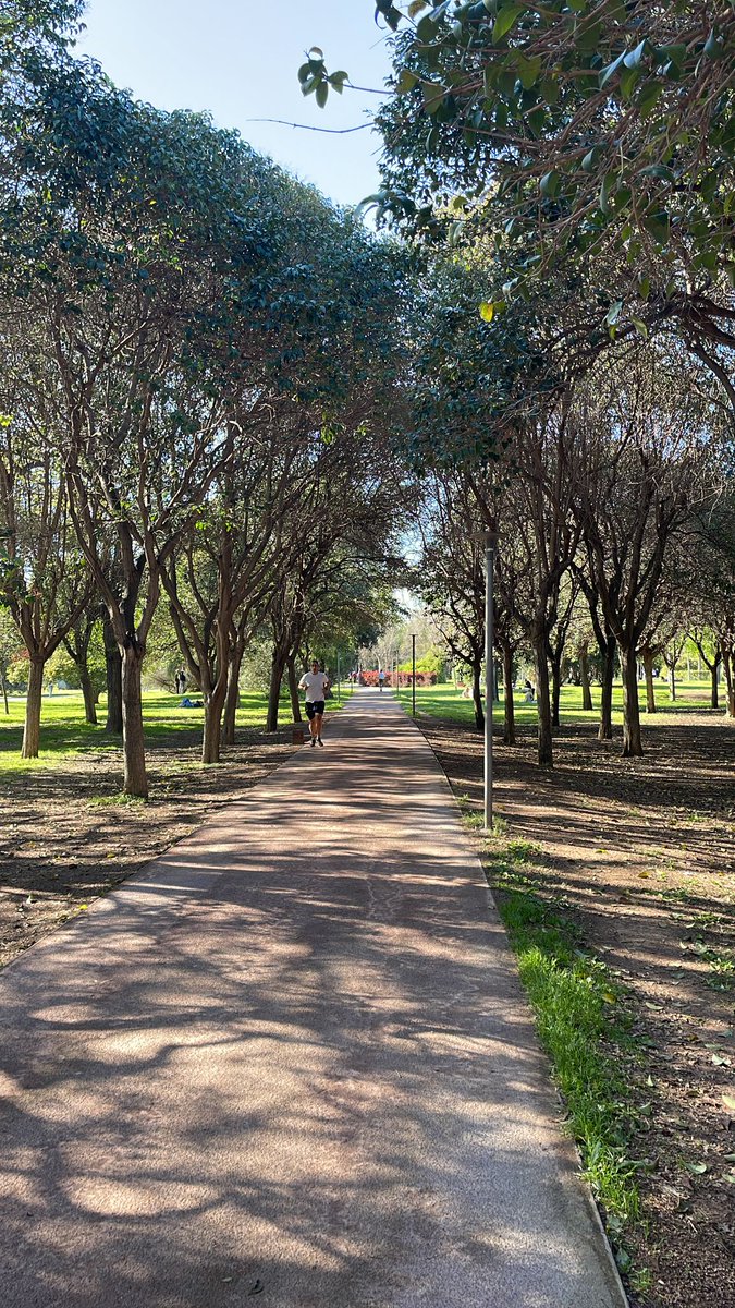 AVV Tramo 9 Jardín del Turia tweet media