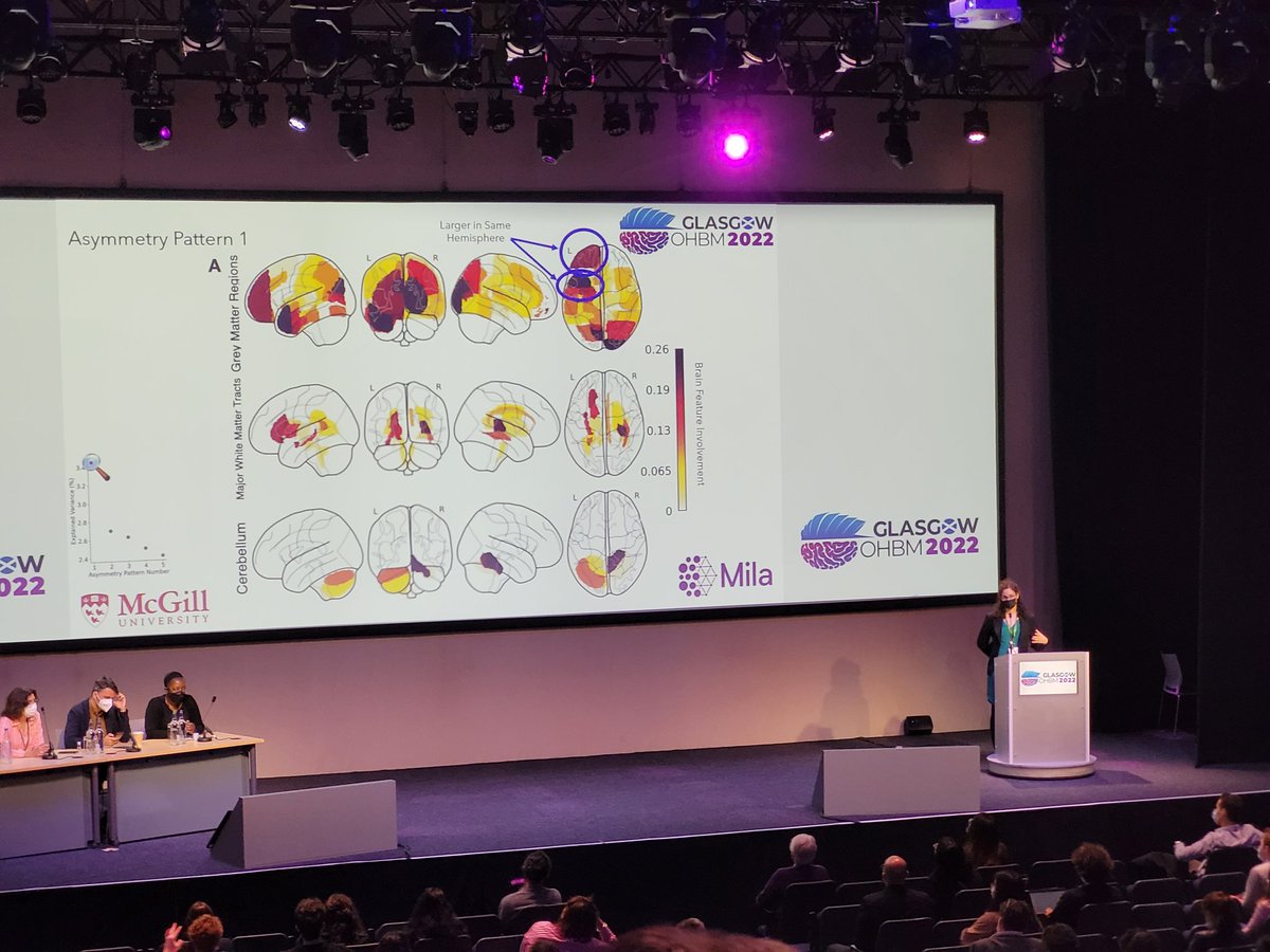 Excellent talk by <a href="/KarinSaltoun/">Karin Saltoun</a> on brain asymmetry patterns at population level. #OHBM2022