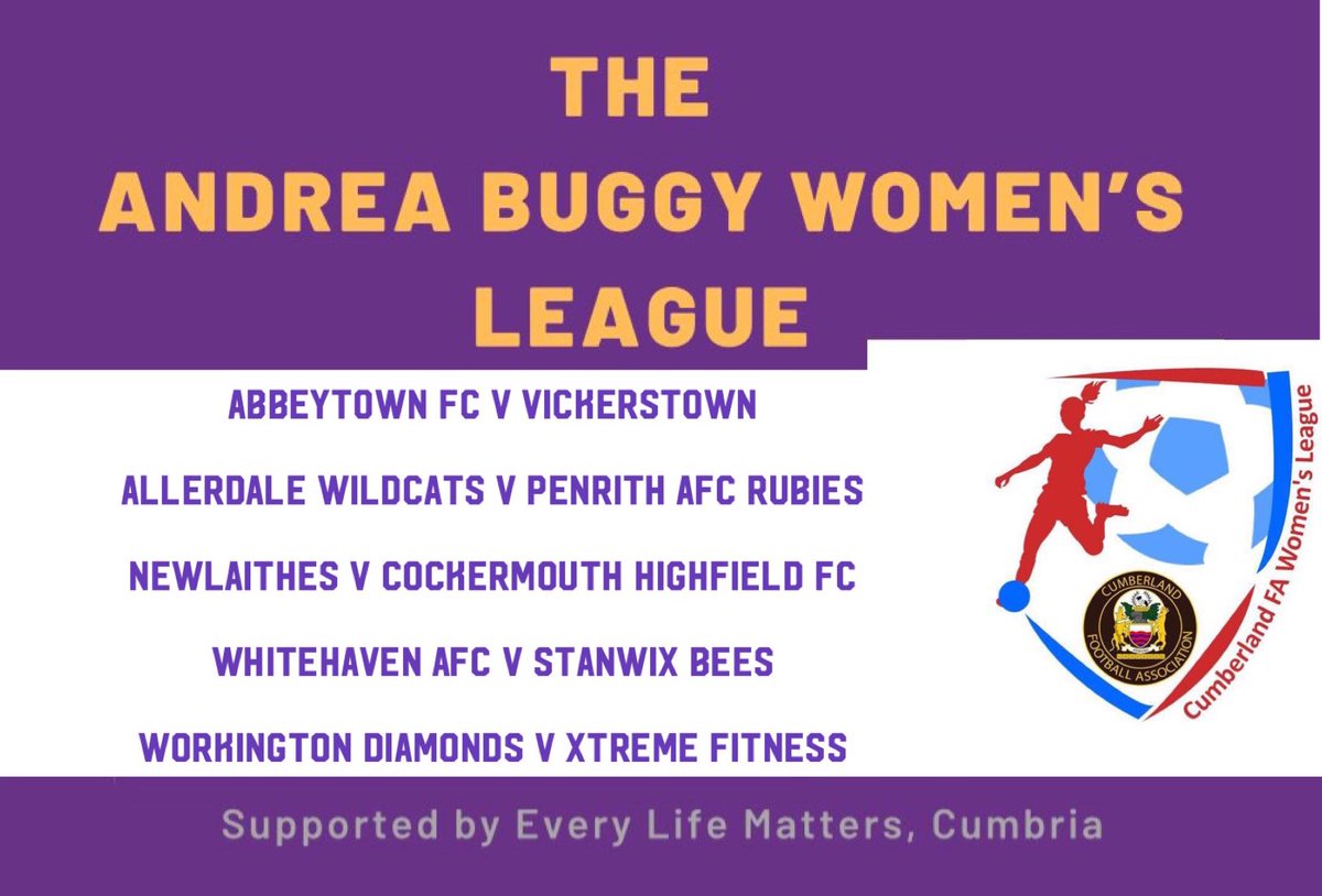 The Andrea Buggy Women's League tweet media