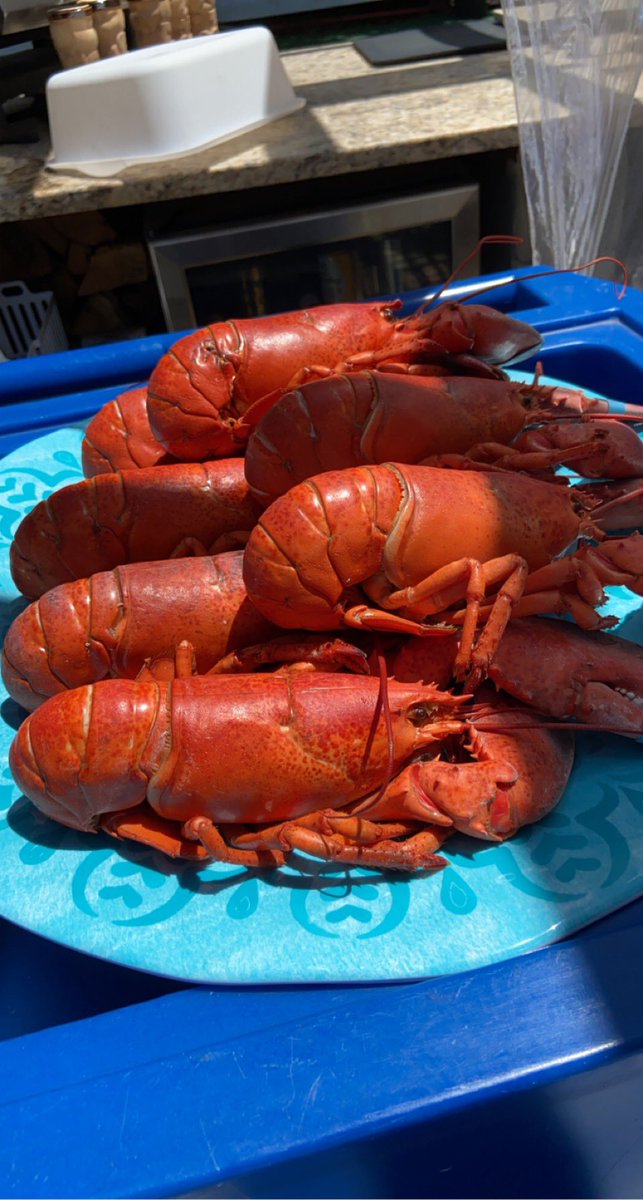 ShadyGirlChef's tweet photo. These simply steamed lobsters were so good! Father’s Day feast for the boys! Just boil, steam, melt some butter for dipping and chow down! #lobster #steamedlobster #shadygirlchef #lobsterdinner #shellfish #lobsters https://t.co/b7pDvbKrEo