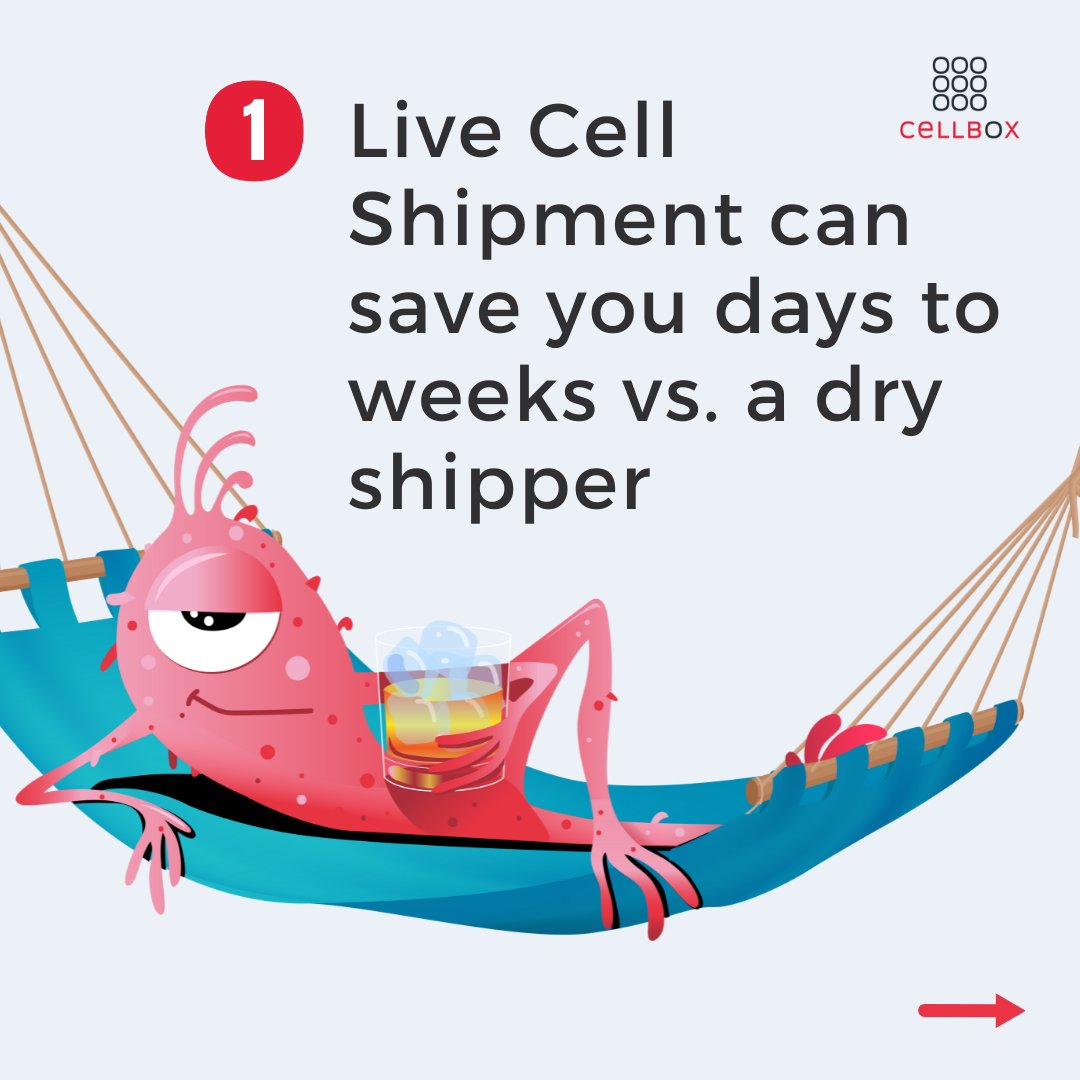 Cellbox_'s tweet photo. π₯Ά Ever considered the negative effects of cryopreserved transports?
Or the #benefits live cell transport offers? π€©
#CELLBOX
#livecellshipper
#transport #logistic #livecell
#betterresearch #cryopreservation