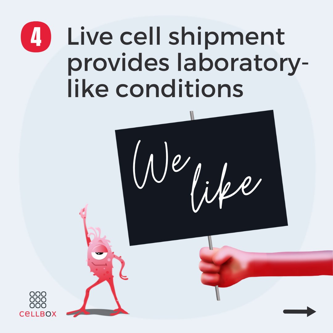 Cellbox_'s tweet photo. π₯Ά Ever considered the negative effects of cryopreserved transports?
Or the #benefits live cell transport offers? π€©
#CELLBOX
#livecellshipper
#transport #logistic #livecell
#betterresearch #cryopreservation