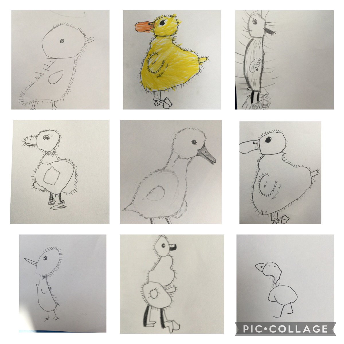 Reception MHill tweet media