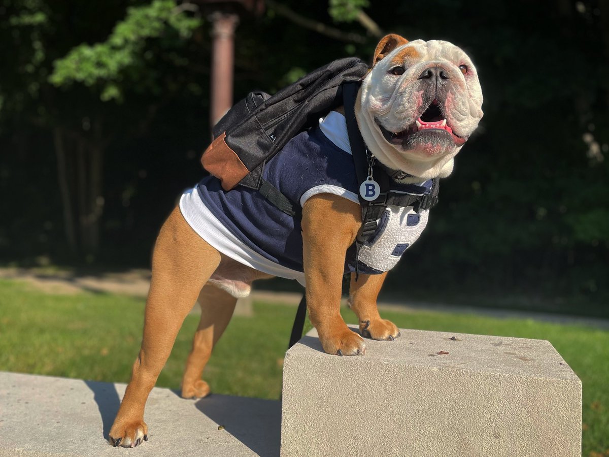 Butler Blue IV tweet media