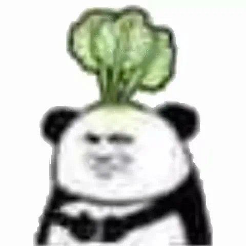 JIsoo7i44's tweet photo. 我是真的好想推文啊 
我和姐妹间最痛苦的事莫过于
她看言情 我看耽美 
她的爱豆是我的对家 https://t.co/nrWfJIJvgS