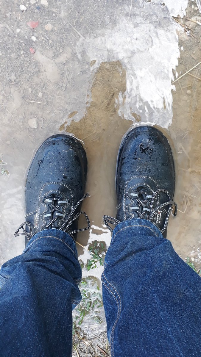 Julien Chartier tweet media