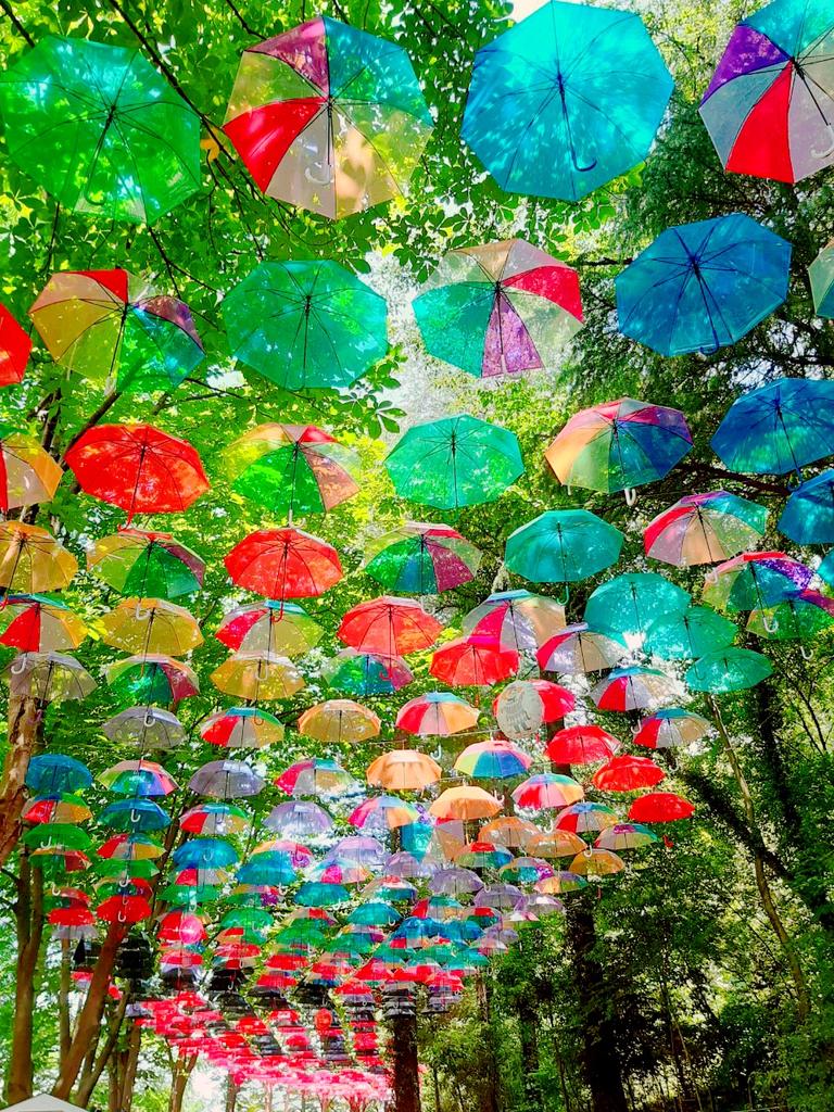 MugiGodd's tweet photo. やっと梅雨を味わえた☔ https://t.co/WNAluyT1yZ