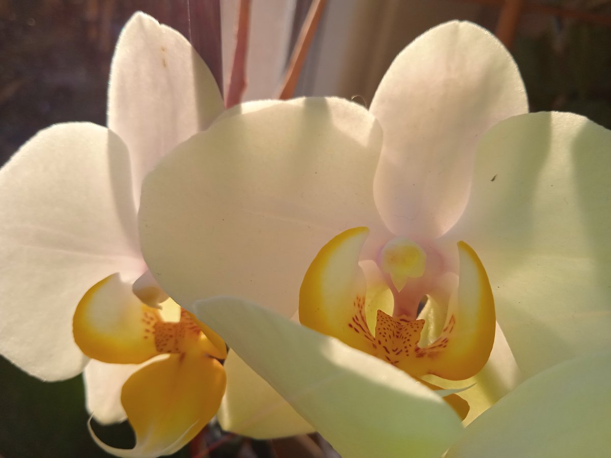 TheMessMess's tweet image. 