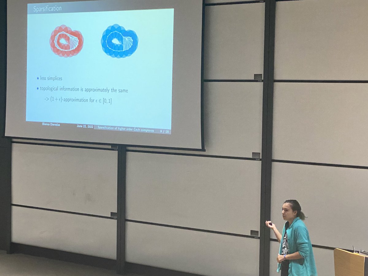 Bianca Dornelas sparsifying higher order cech filtrations ⁦<a href="/atmcs10/">ATMCS10</a>⁩