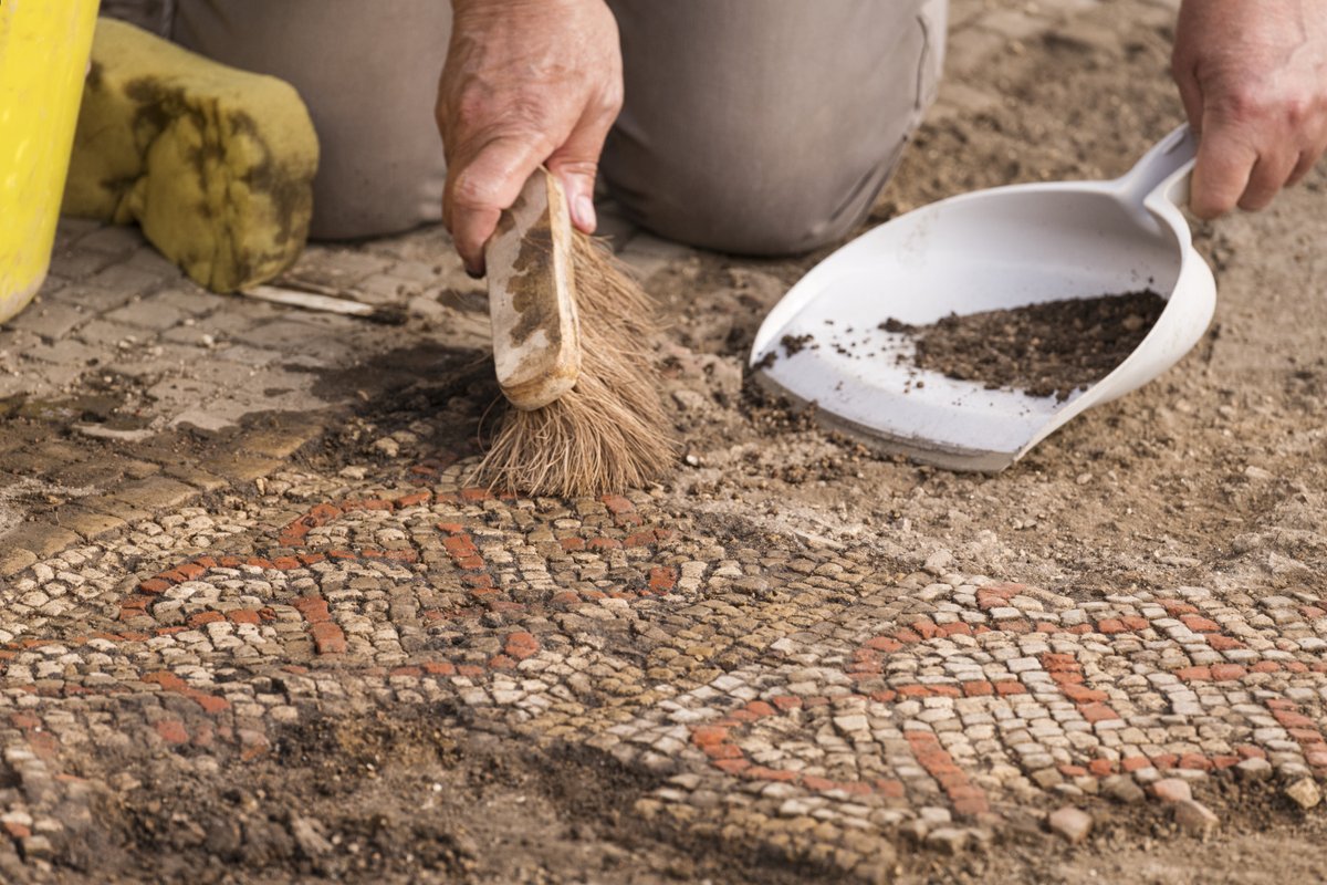Job claxon📢: we're hiring FTC staff for an excavation this summer. Multiple roles to apply for - Excavation Supervisors, Finds Supervisor and Archaeologist, Environmental Supervisor and Archaeologist. All details on our website. 👇 Closing date 3rd July historicengland.org.uk/about/jobs/vac…