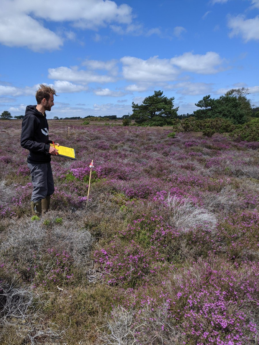theNPMS's tweet photo. ~150 NPMS squares allocated already this year! If you're a new vol or simply interested in finding out more about the scheme &amp; what it entails, you're most welcome to join our free lunchtime webinar this  Monday (27th June). See details and register here: https://t.co/M50Z2IPxwz https://t.co/3CEPzRtUeq