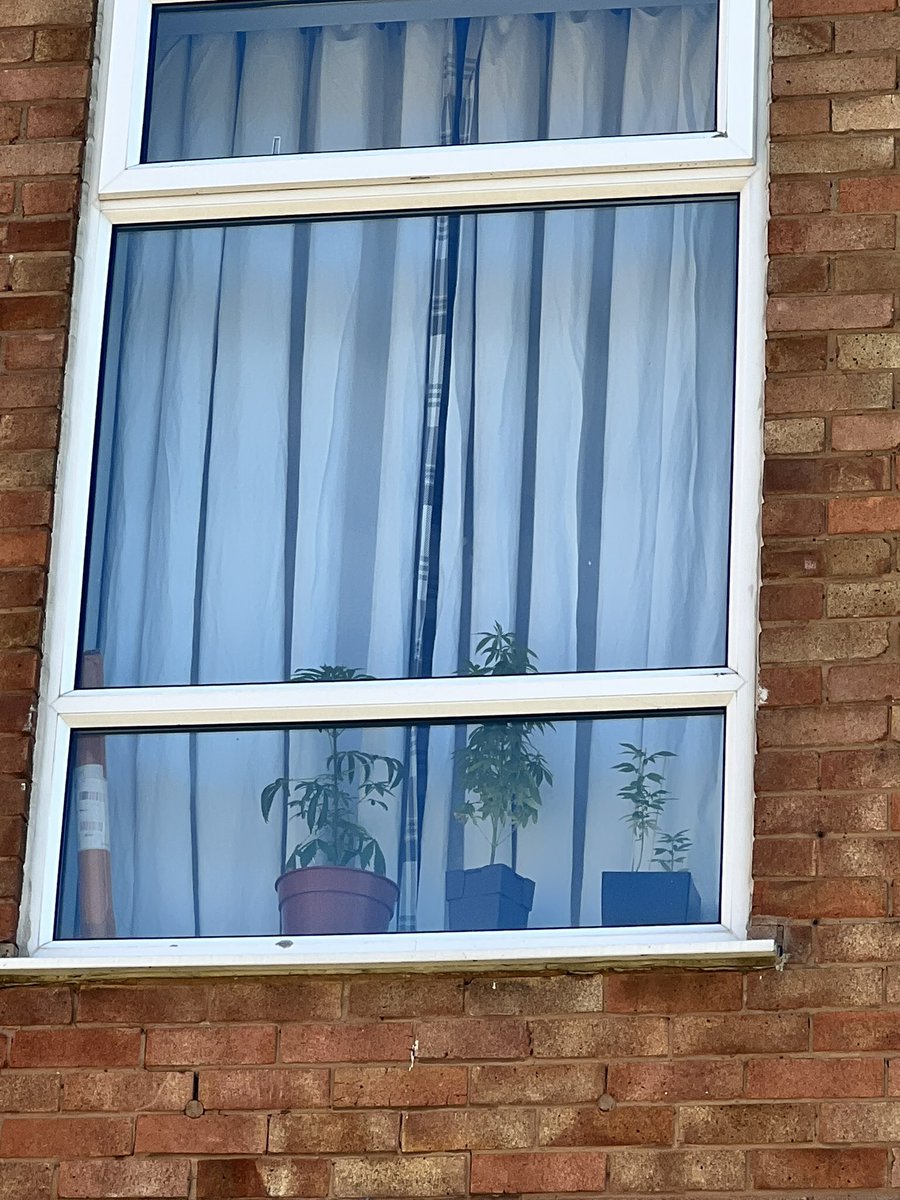 Crickley Drive - Warndon

Drugs warrant executed - if you’re going to be this blatant in growing cannabis don’t be surprised when we come and knock on your door. 

Adult male will be referred to <a href="/CranstounWorcs/">Cranstoun Worcestershire</a> DIVERT scheme.

#PolicingPromise 21258