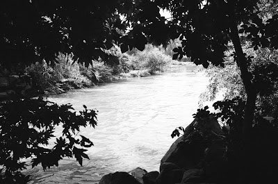 TheDailyFrame1's tweet photo. June 17, 2007 Jordan River #35mm #Leica #ilford #XP2 https://t.co/D0XKzMUA4f