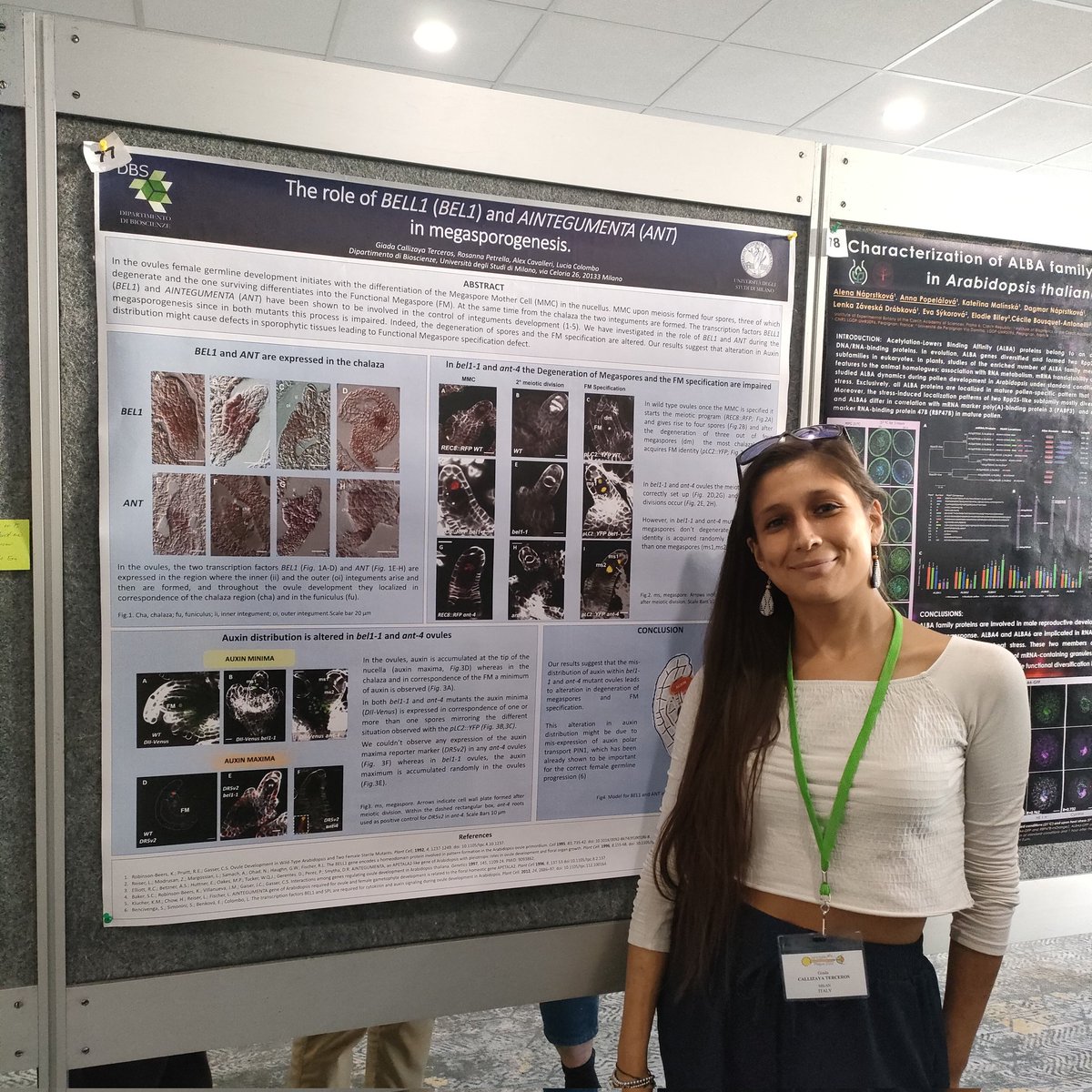 GiadaC16's tweet photo. Megasporogenesis in Arabidopsis thaliana. #ICSPR2022 https://t.co/H8Nyc8S3xn